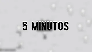 5 MINUTOS DE REFLEXAO DA SOCIEDADE