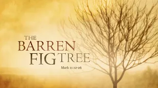 The Barren Fig Tree