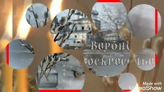 Музыкальная открытка поздравление с вербным воскресеньем.#вербноевоскресение#верба#открытка#музыка