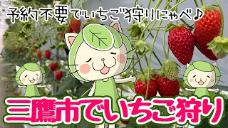 都内でいちご狩り🍓100％いちごのイチゴ削りも絶品にゃべ✨