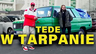 Kupiłem TARPANA i wsadziłem do niego TEDE - MotoBieda