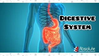 Digestive System and More CPT Medical Coding for the CPC and CCS Exams - Re-released