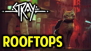 Chapter 5 Rooftops: Gameplay Walkthrough | STRAY