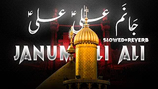 Janum Ali Ali Noha (Slowed+Reverb) Nadeem Sarwar Without Noha