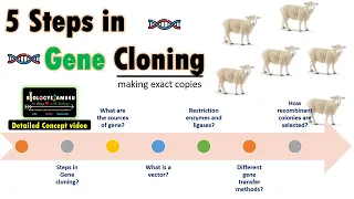 Steps in Gene Cloning || A Complete Comprehensive Concept Video