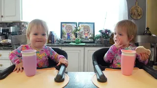 Twins try rice cakes