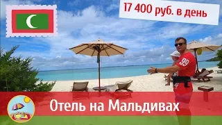 Отель на Мальдивах за 17400 руб. в день. Что предлагают? The Barefoot Eco Hotel