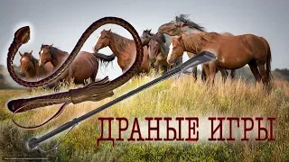 ДРАНЫЕ ИГРЫ. Точка Зрения Лошади.