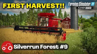 First Harvest Of Our Fields Silverrun Forest Farming Simulator 22 Let's Play Episode 9