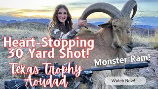 Texas Trophy Aoudad Hunt: Jaw-Dropping 30-Yard Shot!