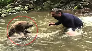 Медведица не могла спасти медвежат из холодной воды, то что случилось дальше невероятно❗