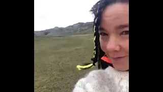 Björk and Arca touch dog pp together