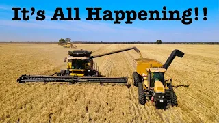 Barley Harvest Begins! 2021 Harvest Pt. 2 (Vlog 38)