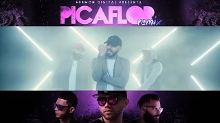 "Picaflor" Remix Abdi  Ft. Indiomar & Jay Kalyl Video Oficial