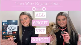 ALL ABOUT VET SCHOOL | APPLYING TO UK VET SCHOOL | WHAT ITS LIKE AT VET SCHOOL | THE WEE EQUESTRIAN