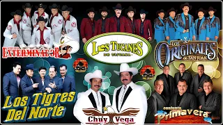 Los Tucanes de Tijuana, Los Tigres Del Norte, Los Originales De San Juan, Grupo Exterminador