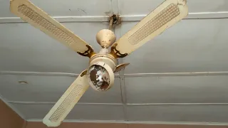 Smash Classic Ceiling Fan at an Abandoned House