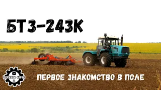 Трактор БТЗ-243К - первое знакомство в поле. Наконец, познакомились в живую. Дискование после гороха