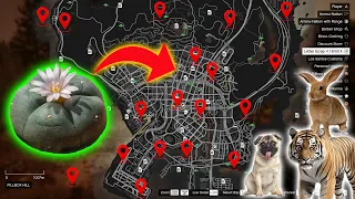 GTA 5 - 2024 All New Peyote Plants Location Guide (Story Mode)