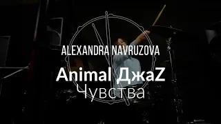 Animal Джаз - Чувства (Drum Cover)