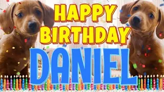 Happy Birthday Daniel! ( Funny Talking Dogs ) What Is Free On My Birthday