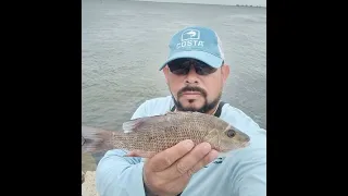 The (SNAPPERS) Before The STORM! Fishing Gandy Bridge.