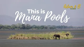 This place is WILD!!!!  |  Camping at Nyamepi in Mana Pools  |  SafariLife S1E14