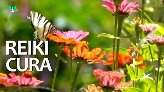 Reiki Cura e Relaxamento, Limpar Energias Negativas, Sons da Natureza para Relaxar