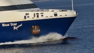 BLUE STAR MYCONOS_Το Ελληνικό πλοίο "πολυεργαλείο" εν πλω