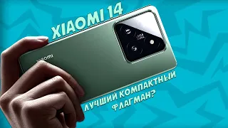 Лучший компактный флагман? Xiaomi 14 честный обзор