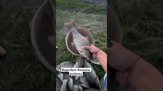 Рыбалка в Воронеже водосброс