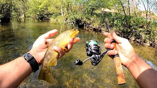 Trout fishing on a small creek.