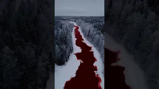 A Siberian river has mysteriously turned blood red 😱❤️|lika a beetroot water 😍