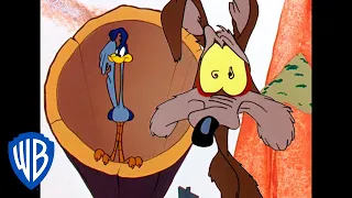 Looney Tunes | Ready, Set, Catch the Roadrunner! | Classic Cartoon | WB Kids