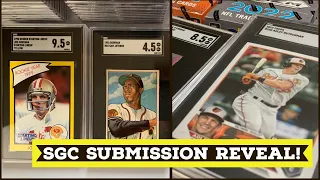 80+ Card SGC Grading Submission Reveal