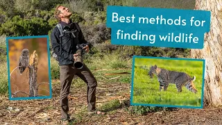 How to find wildlife. My tried and true methods for finding wildlife to photograph