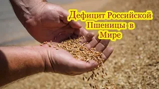 Дефицит Российской пшеницы в Мире.