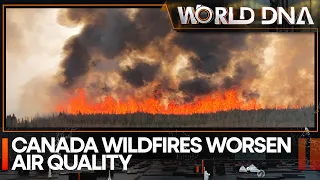 Canada wildfires worsen air quality, 'stay indoors' alert in New York City | World DNA