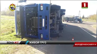 В Молодечненском районе опрокинулась фура. Зона Х