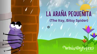 LA ARAÑA PEQUEÑITA - The Itsy Bitsy Spider Spanish Song for Kids by Whistlefritz