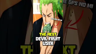 The Next Straw Hat To Eat A Devil Fruit | One Piece Episode 1096 Zoro Eats A Devil Fruit?!