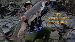 My New Record 22kg Redfin Mahseer, Kameng river Arunachal Pradesh,😊 First time Redfin in Arunachal 🎣
