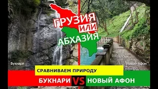 Букнари VS Новый Афон | Сравниваем природу ✈️ Грузия или Абхазия - что выбрать?