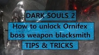 Dark Souls 2: How to unlock Ornifex boss weapon blacksmith - Tips and Tricks