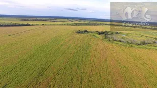 FAZ 37 - Fazenda na Região COCALINHO – MT com 1.367 alqueirão ML FAZENDAS