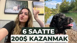 WORK and TRAVEL'DA KÖPEK BAKICILIĞI YAPARAK 200$ KAZANMAK/Vlog