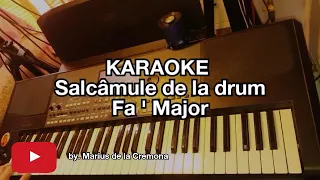 ❌Salcâmule de la drum❌ - KARAOKE (Fa ' Maj)