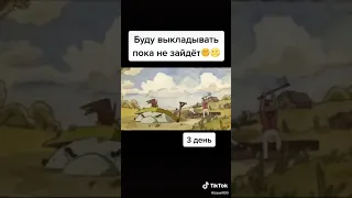 Вся жизнь камня