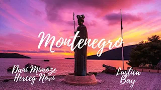 Montenegro - Herceg Novi - Lustica bay - Dani mimoze | 4K