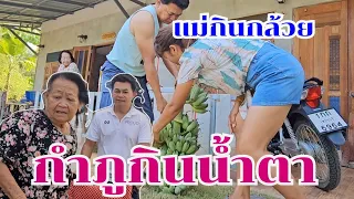 แม่กินกล้วย กำภูกินน้ำตา #บ้านสวนกำภูEp994